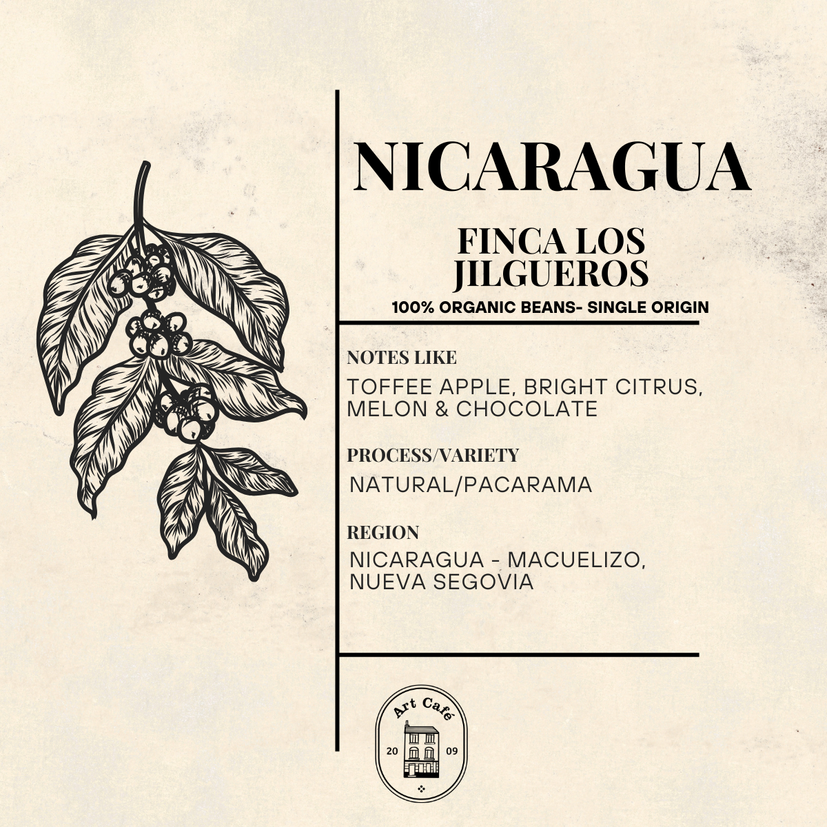 Nicaragua - Finca Los Jilgueros